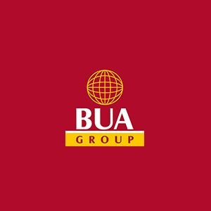 BUA CEMENT DECLARES N88.047BILLION DIVIDEND PAYOUT FOR SHAREHOLDERS